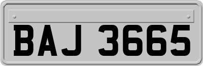 BAJ3665