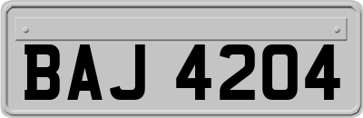 BAJ4204