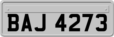 BAJ4273
