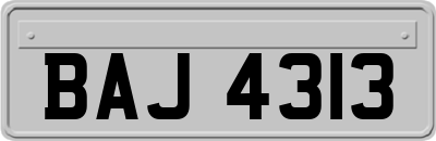BAJ4313
