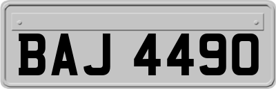 BAJ4490
