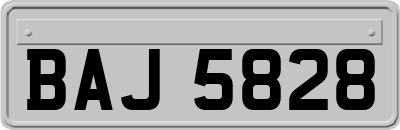 BAJ5828