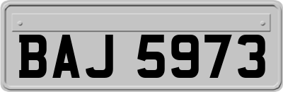 BAJ5973