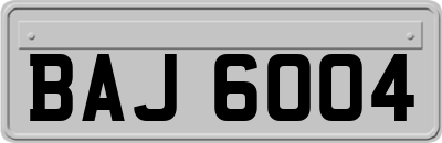 BAJ6004