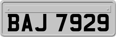 BAJ7929