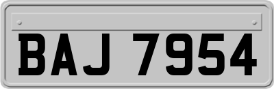BAJ7954