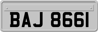 BAJ8661