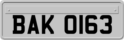 BAK0163
