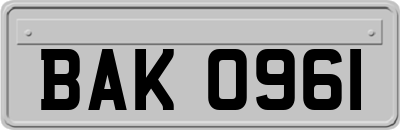 BAK0961