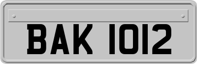 BAK1012