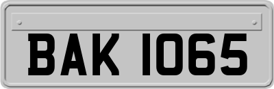 BAK1065