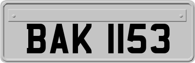 BAK1153