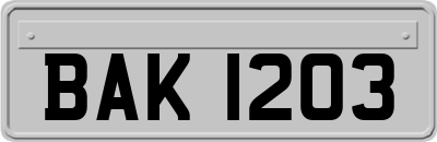 BAK1203