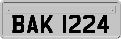 BAK1224