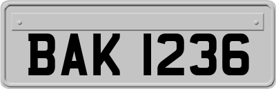BAK1236