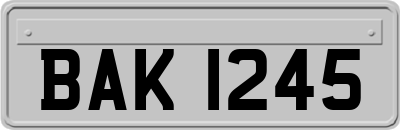 BAK1245