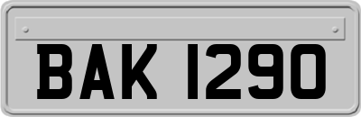 BAK1290