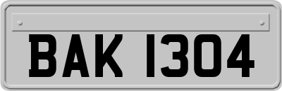 BAK1304