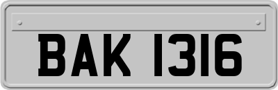 BAK1316