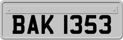 BAK1353