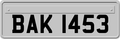 BAK1453