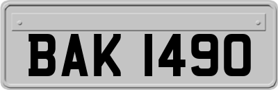 BAK1490