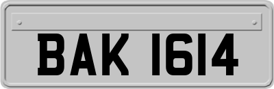 BAK1614