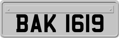 BAK1619