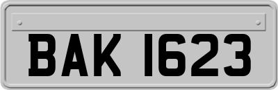 BAK1623