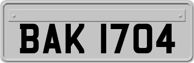 BAK1704