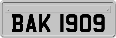 BAK1909