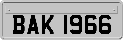 BAK1966