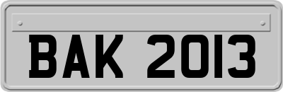 BAK2013