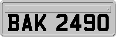 BAK2490