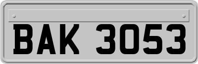BAK3053