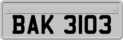 BAK3103