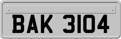 BAK3104