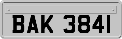 BAK3841