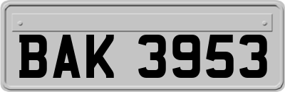 BAK3953