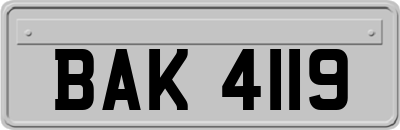 BAK4119