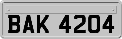 BAK4204