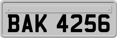 BAK4256