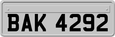 BAK4292