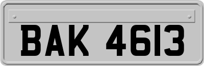 BAK4613