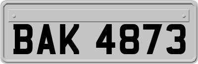 BAK4873