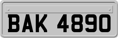 BAK4890
