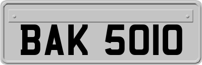 BAK5010