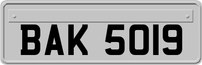 BAK5019