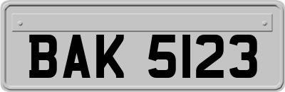 BAK5123