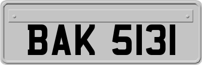 BAK5131